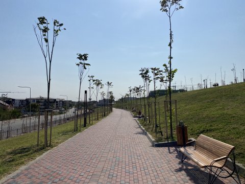 Parcul Teilor după inaugurare (Titanul Nou)