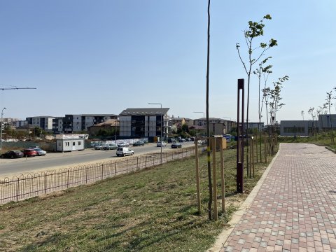 Parcul Teilor după inaugurare (Titanul Nou)