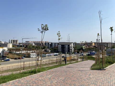 Parcul Teilor după inaugurare (Titanul Nou)