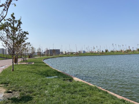 Parcul Teilor după inaugurare (Titanul Nou)