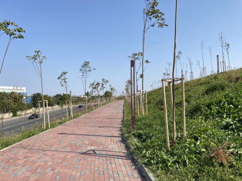 Parcul Teilor după inaugurare (Titanul Nou)