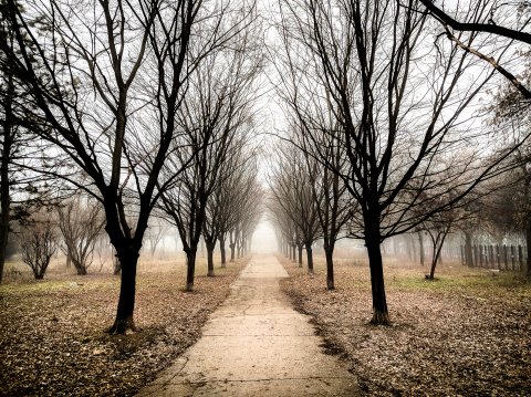 Alee - Parcul Lumea Copiilor