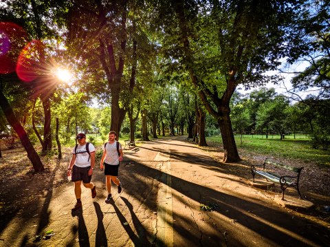 Alee - Parcul Herăstrău