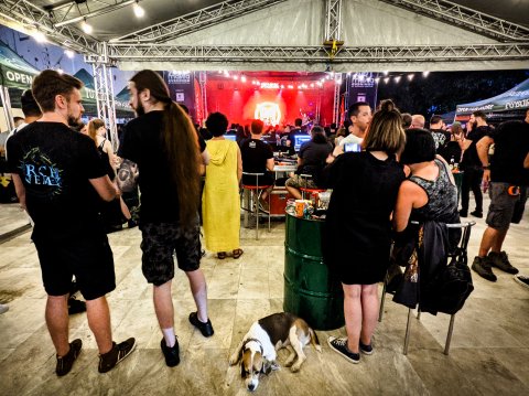 Festival Artmania în Quantic Pub - Șoseaua Grozăvești