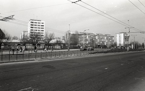 Strada Nițu Vasile - Vedere spre intersecția Șoseaua Olteniței și Calea Văcărești