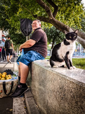 Vânzător - Șoseaua Giurgiului