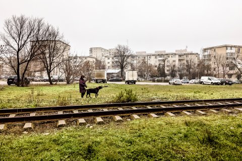 Strada Liniei