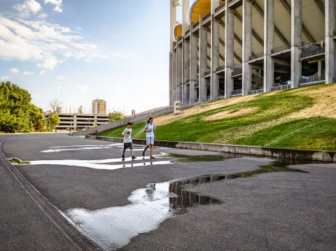 Seceta - Stadionul Național