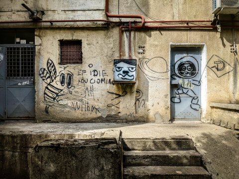 Graffiti la ghenă - Aleea Emil Botta