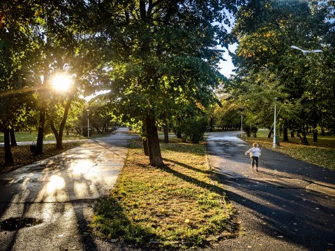 Cu zemul - Parcul Tineretului