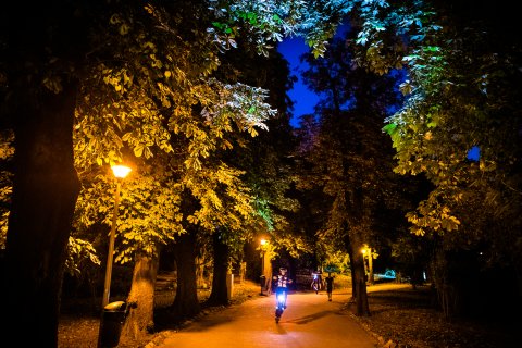 În parc cu trotineta - Excursie - Ziua Internațională a fotografiei