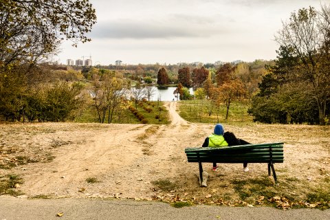 Bancă - Parcul Tineretului