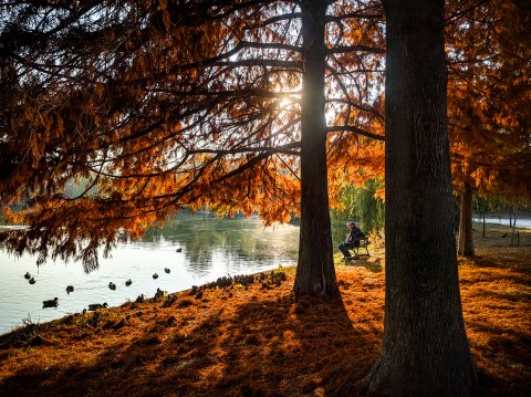 Toamna - Parcul Tineretului