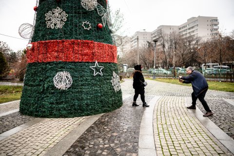 Poză cu bradul de Crăciun - Parcul IOR