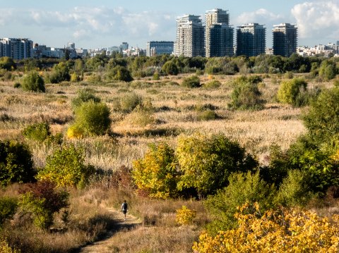 Asmita Gardens văzută din Parcul Natural Văcărești