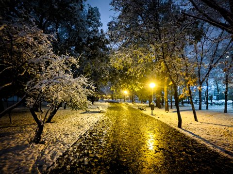 Iarna - Parcul Tineretului