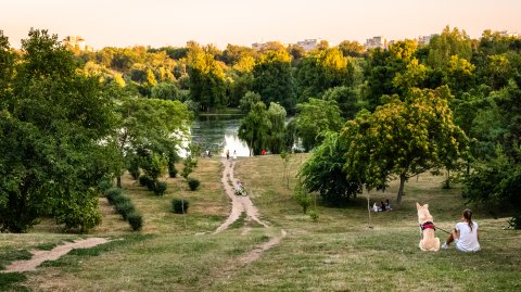 La vale - Excursie - Ziua Internațională a fotografiei