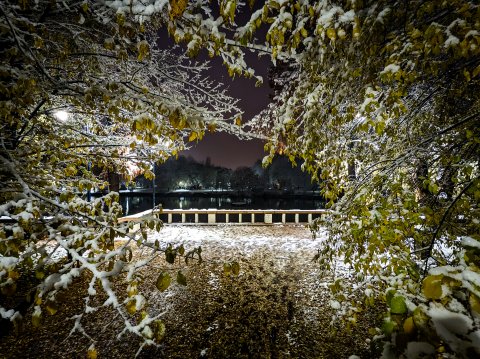 Iarna - Parcul Național