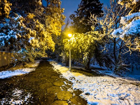 Iarna - Parcul Tineretului