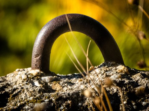 Detaliu placă de beton - Parcul Natural Văcărești