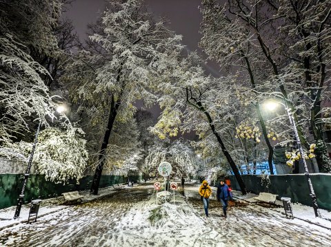 Iarna - Parcul Național