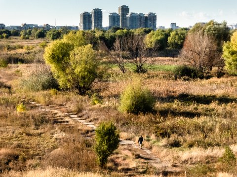 Potecă - Parcul Natural Văcărești