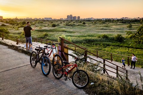 Apus - Parcul Natural Văcărești