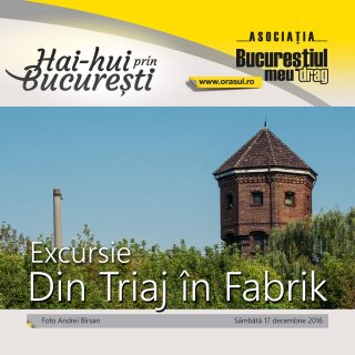 Excursie din Triaj în Fabrik